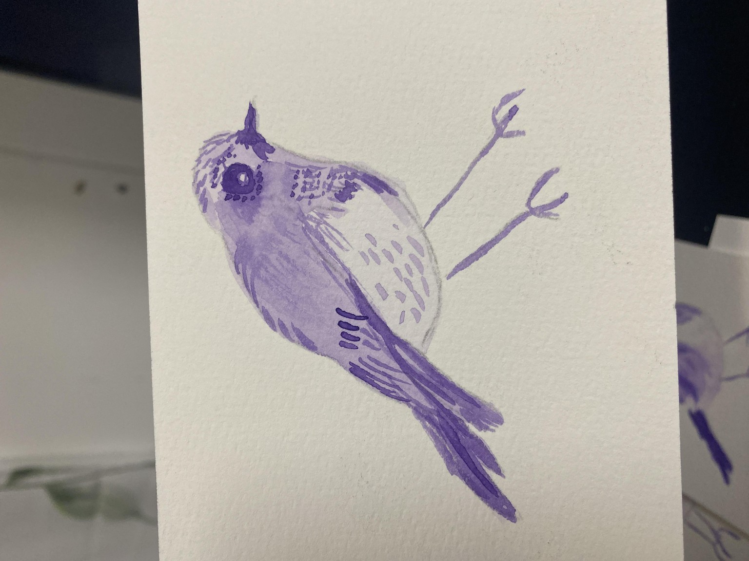 5 birds - image 4 - student project