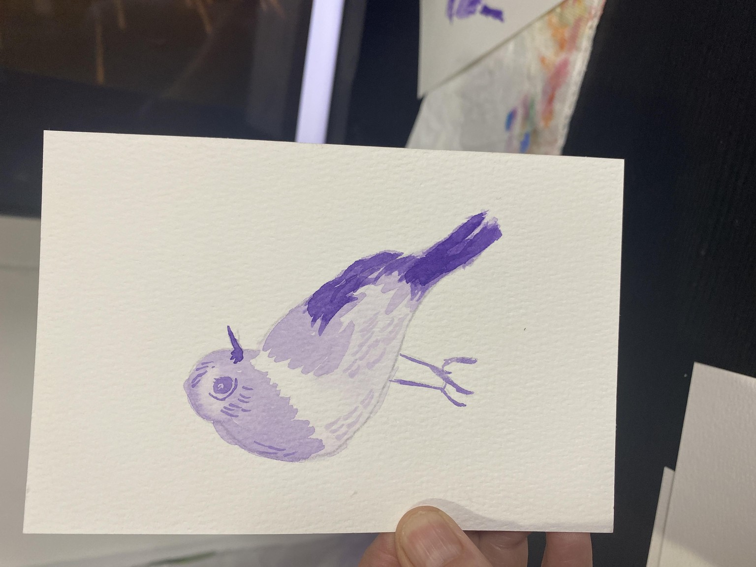 5 birds - image 2 - student project