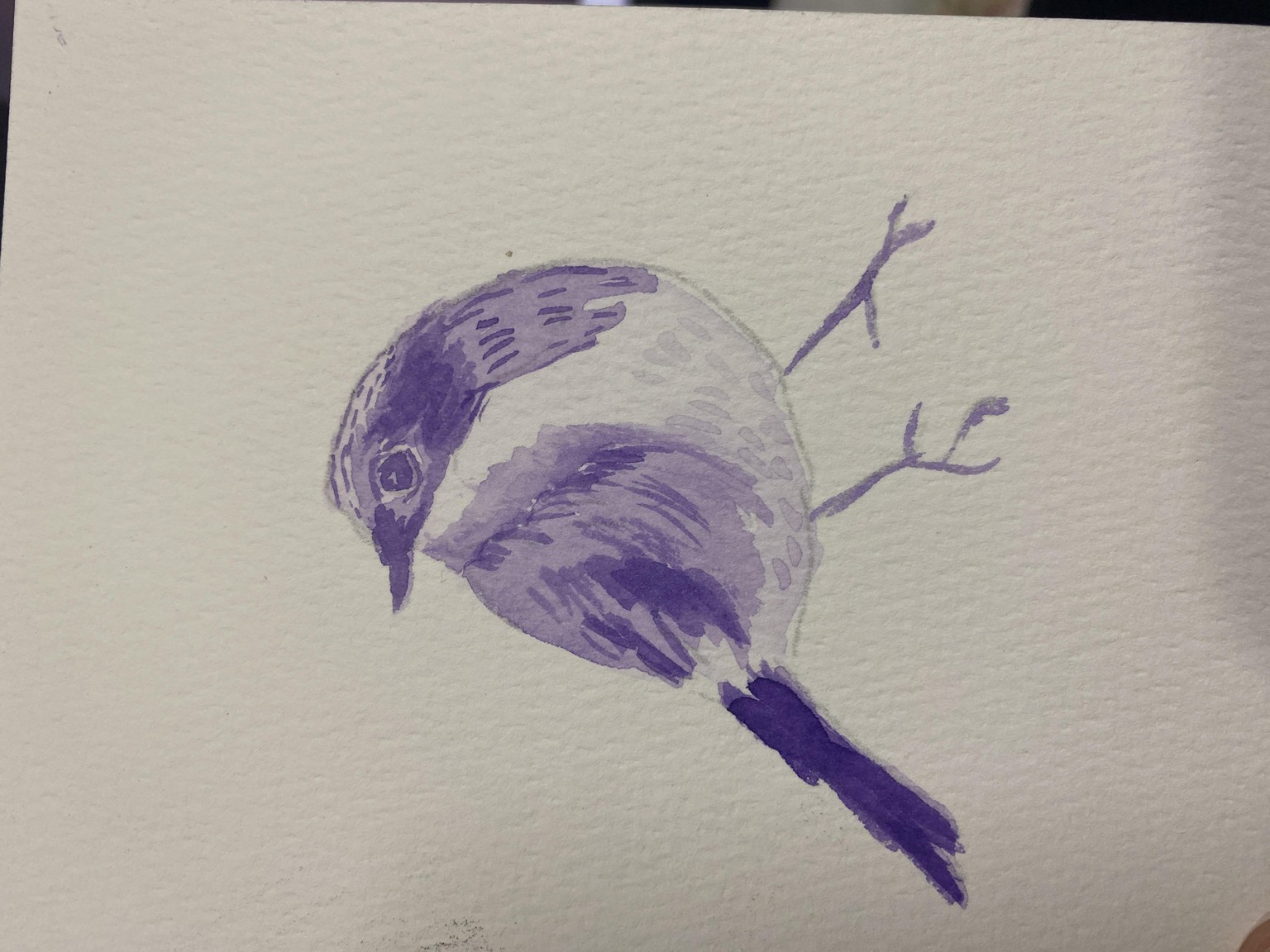 5 birds - image 3 - student project
