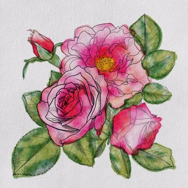 Wilde Rosen - image 2 - student project