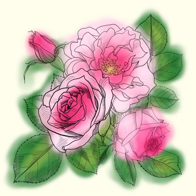 Wilde Rosen - image 3 - student project
