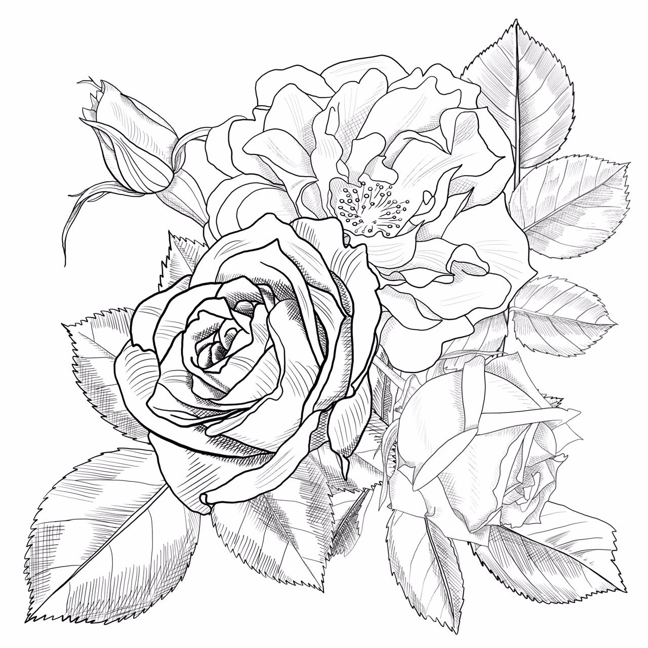 Wilde Rosen - image 1 - student project
