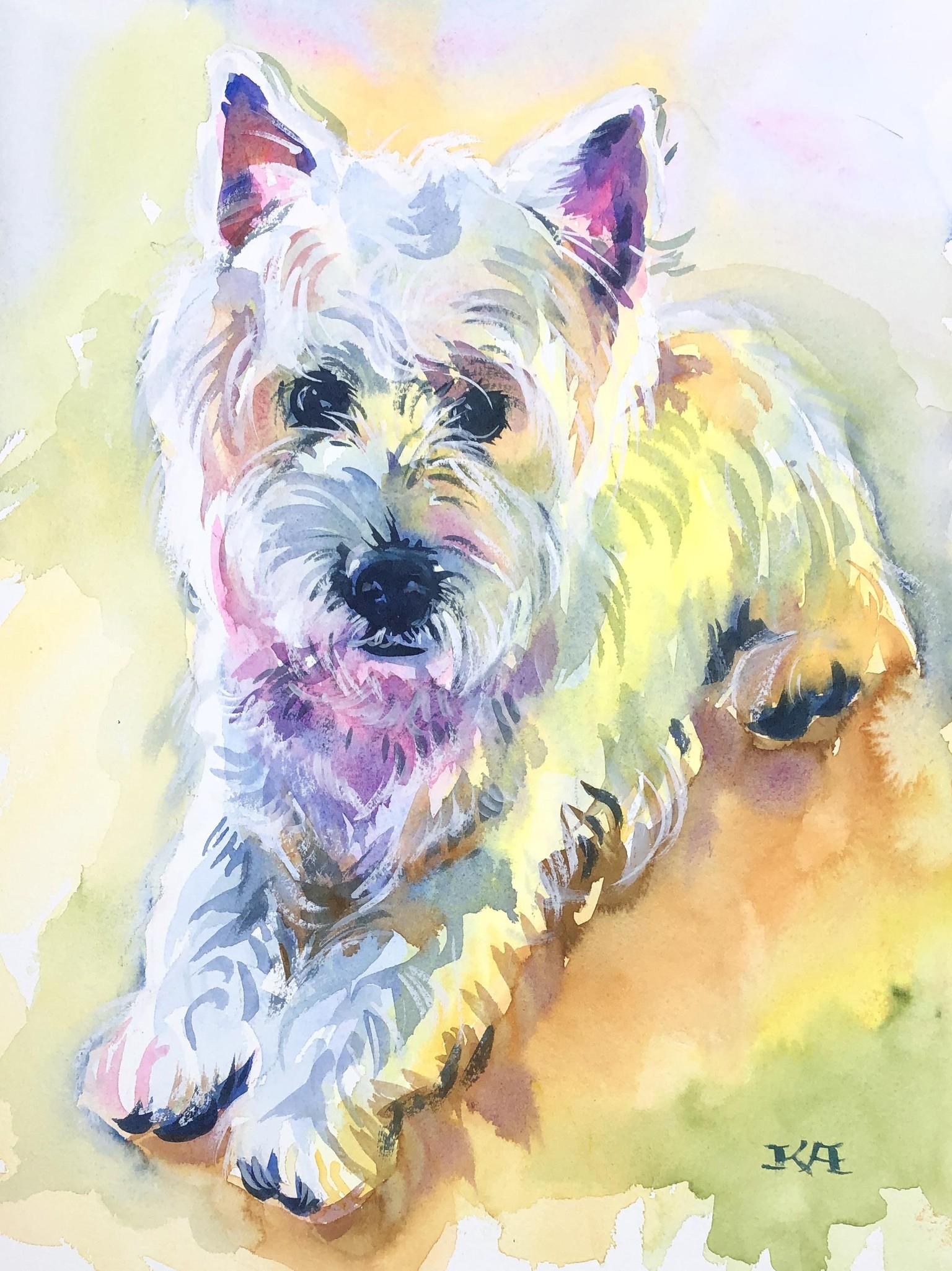 White Westie with rainbow palette - image 1 - student project