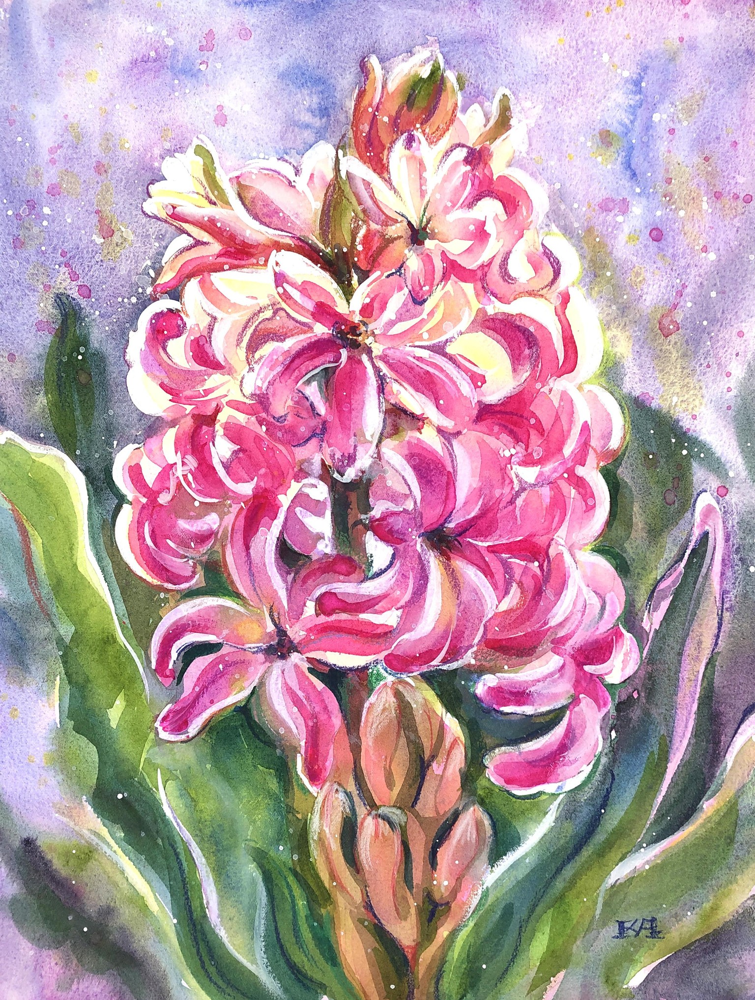 Hyacinth painted with watercolor and white gouache - image 1 - student project
