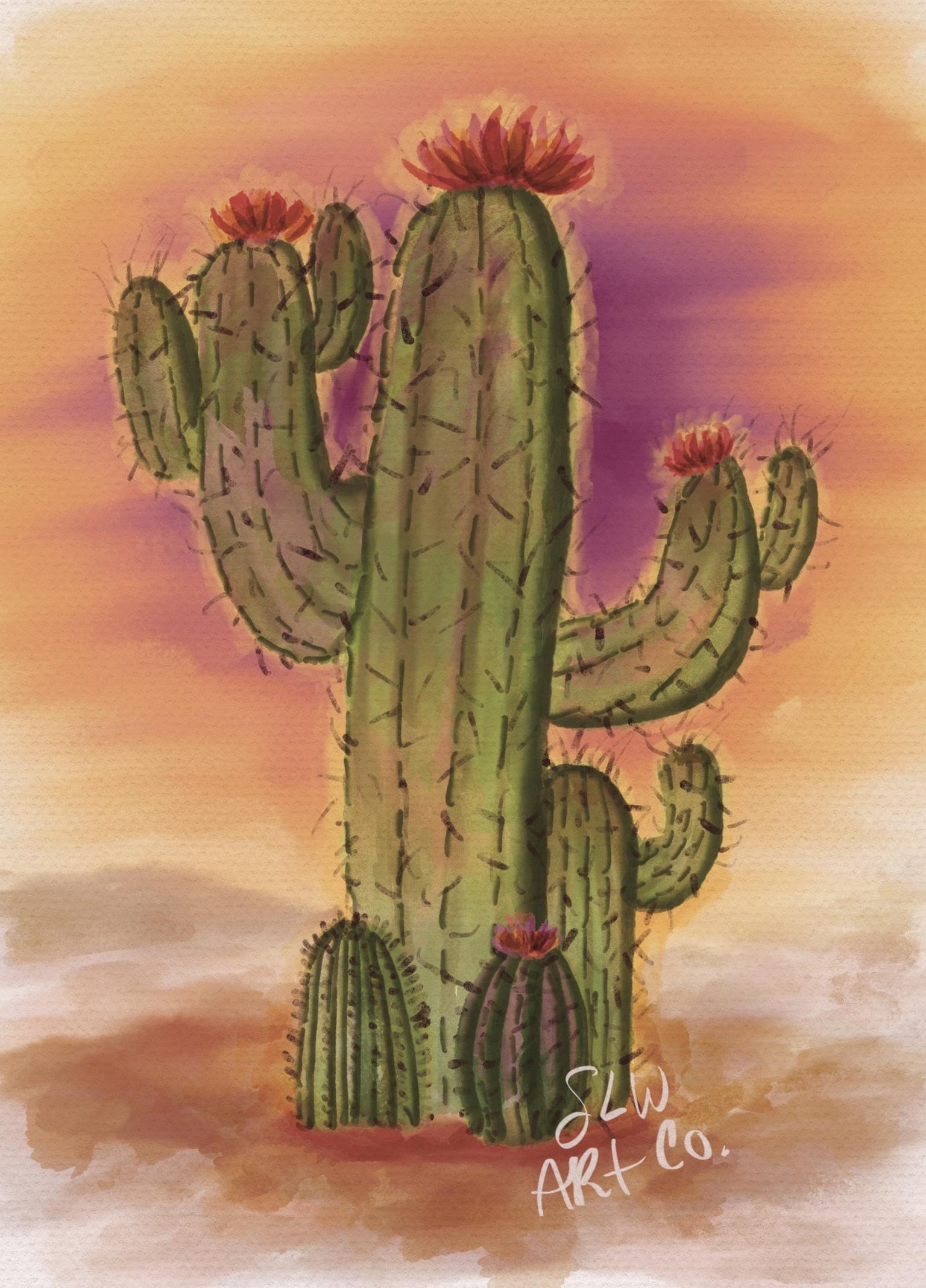 Fun Cactus Watercolor! - image 1 - student project