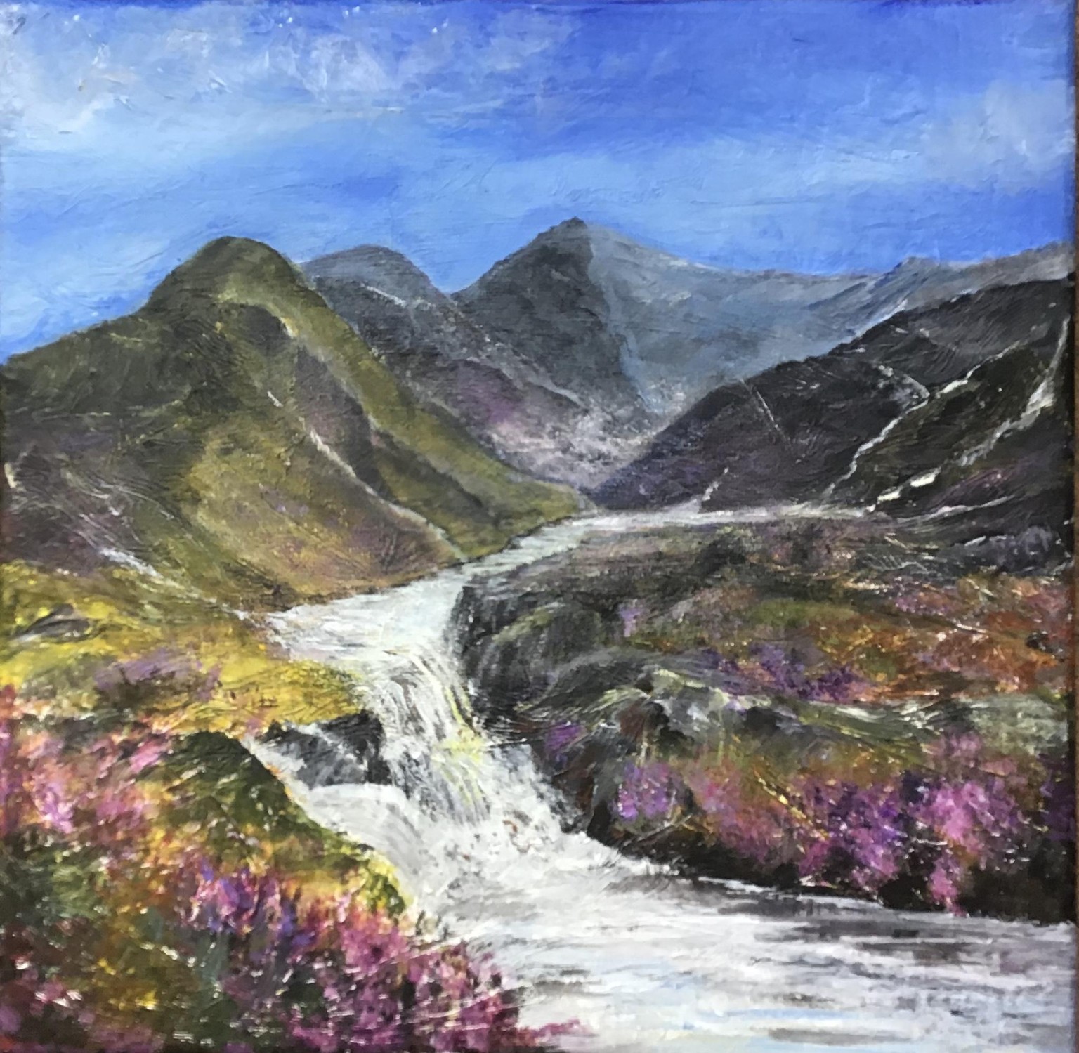 Heather on the fells - image 1 - student project