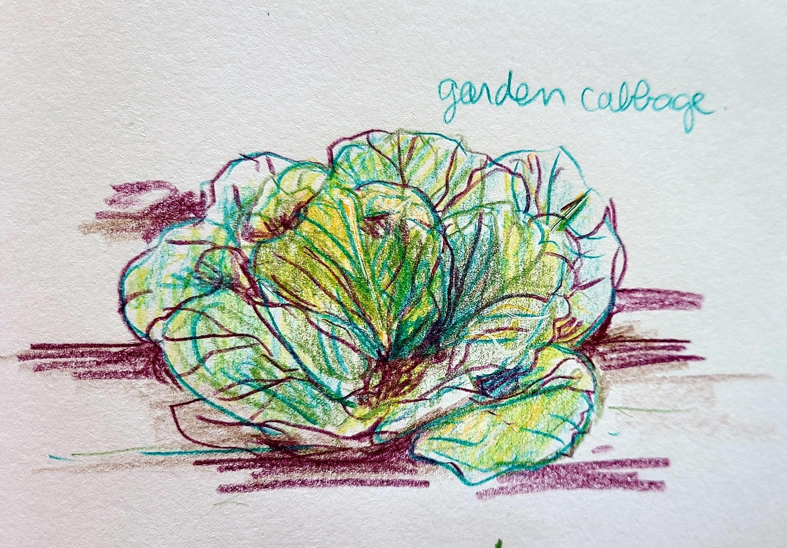 In the Garden - image 3 - student project
