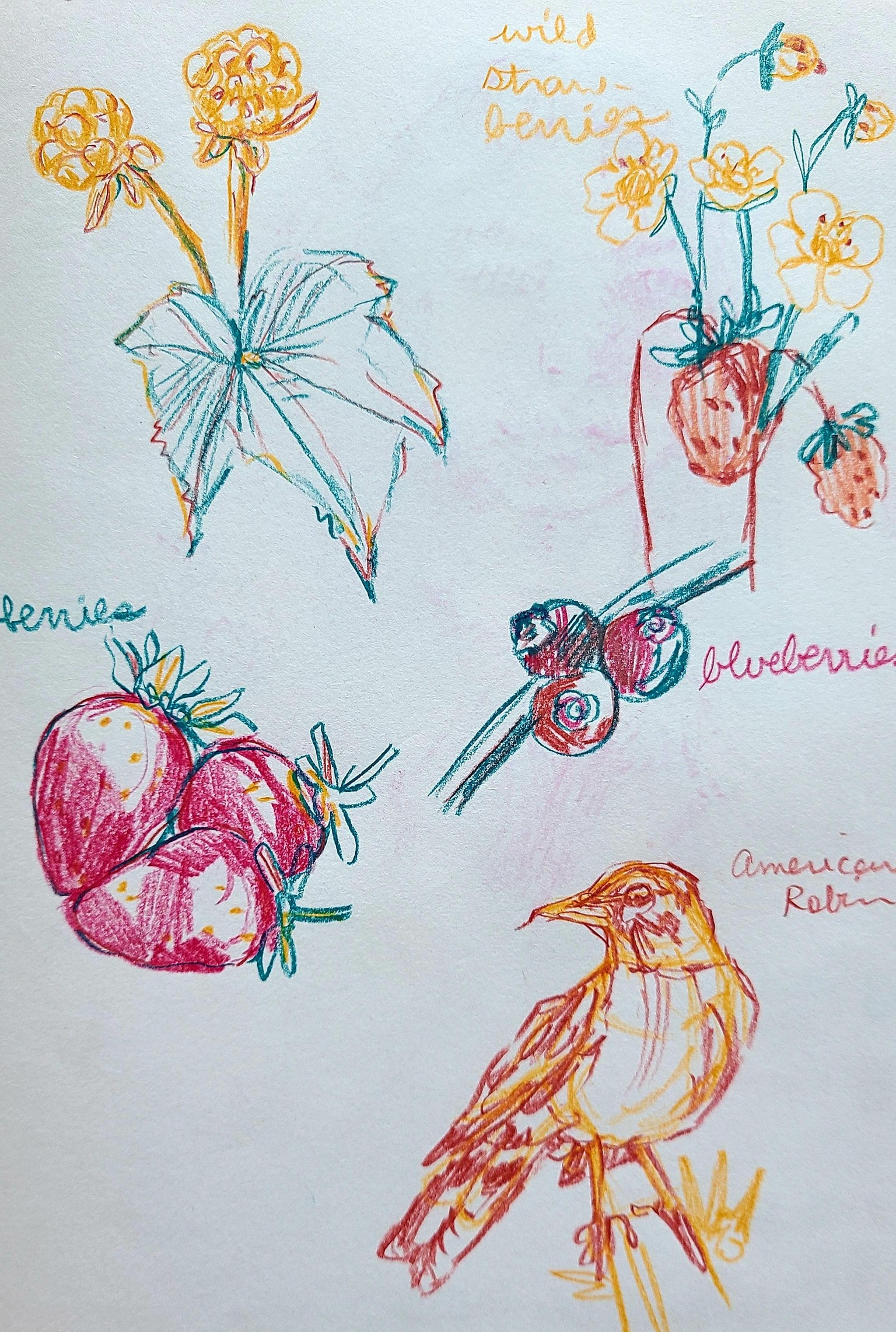 In the Garden - image 7 - student project
