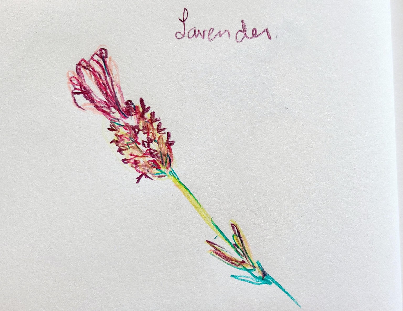 In the Garden - image 2 - student project