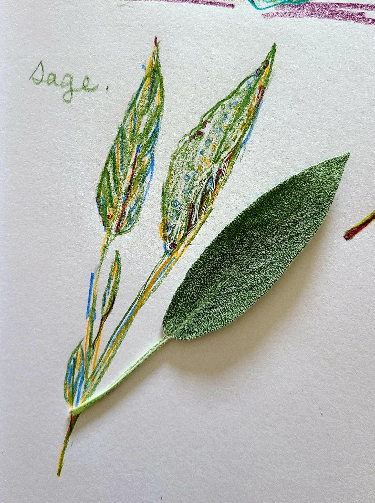 In the Garden - image 4 - student project