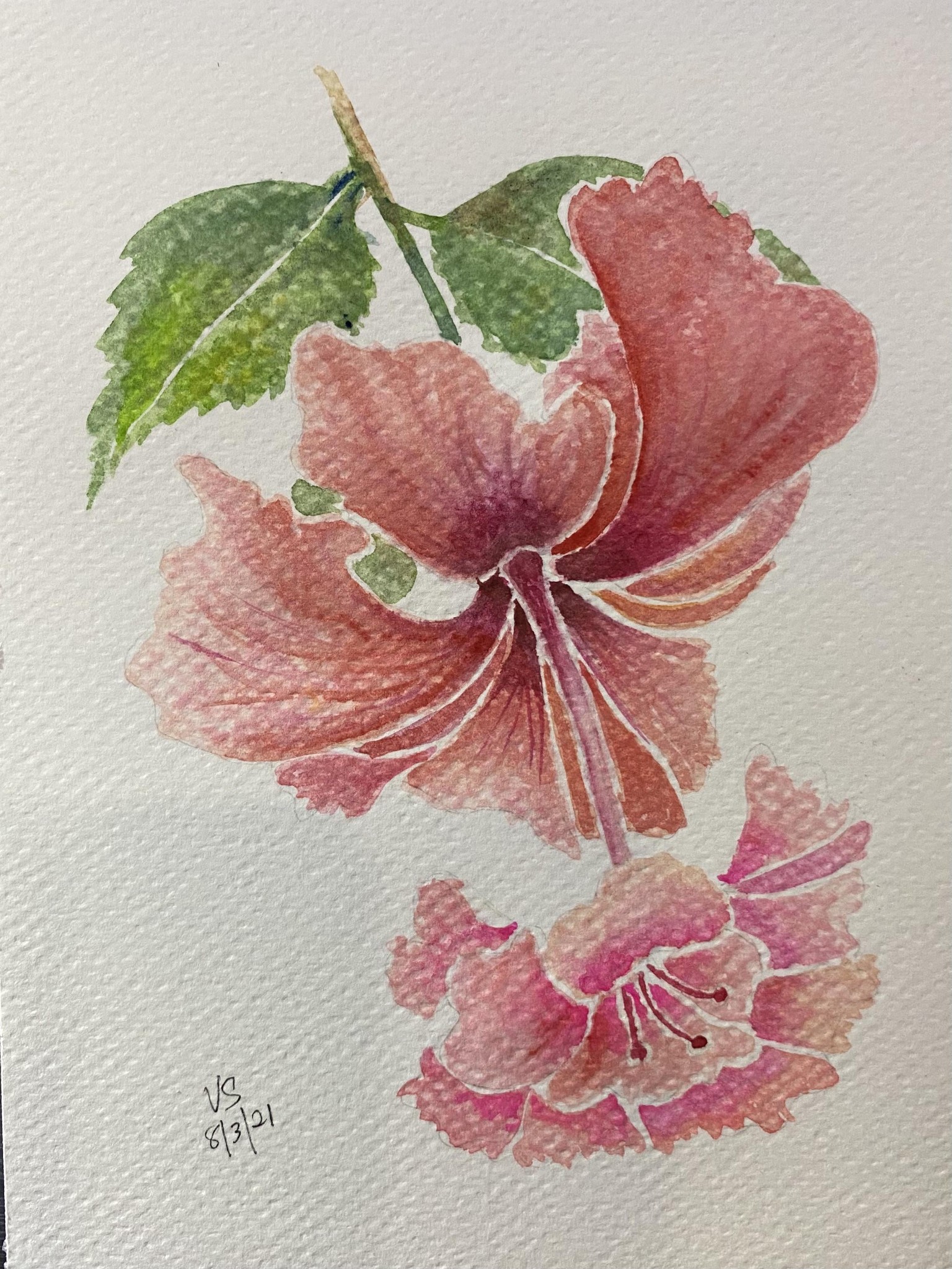 Watercolor Botanicals - image 1 - student project