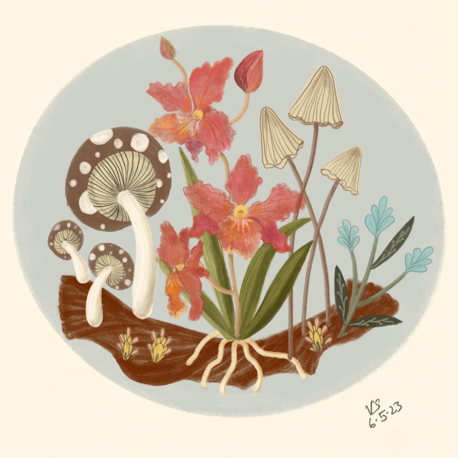 Digital Illustration with Sandra Mejia - image 1 - student project