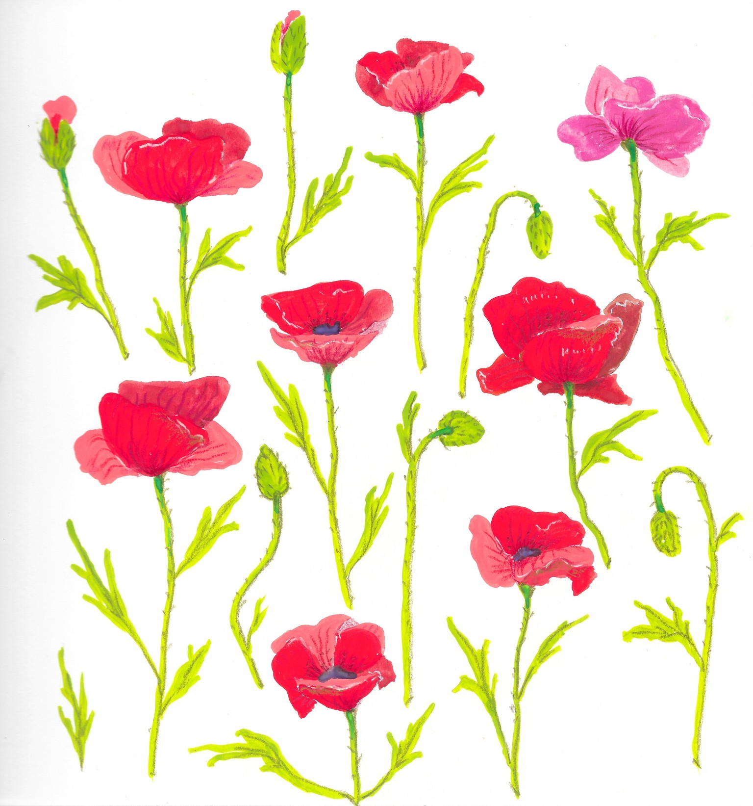 Floral Patterns in Gouache with Mel - image 2 - student project