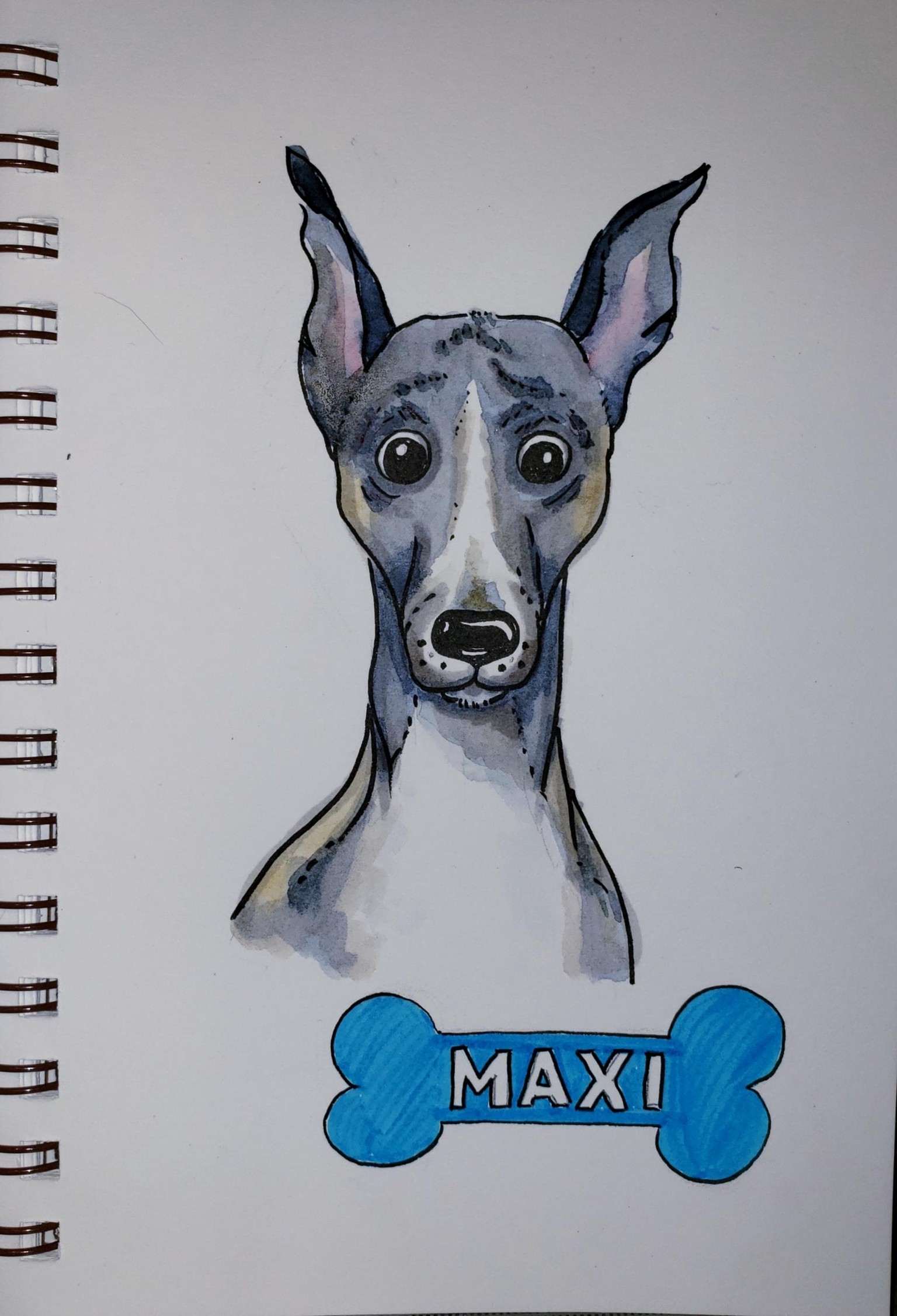 Cartoon Dog Pet Portrait - image 7 - student project