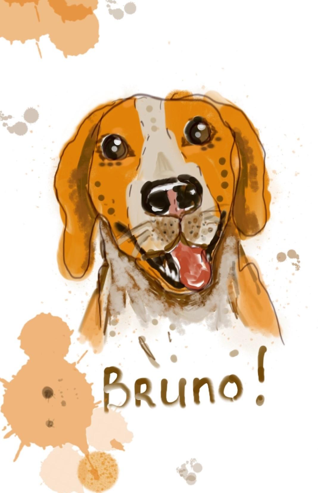 Cartoon Dog Pet Portrait - image 10 - student project