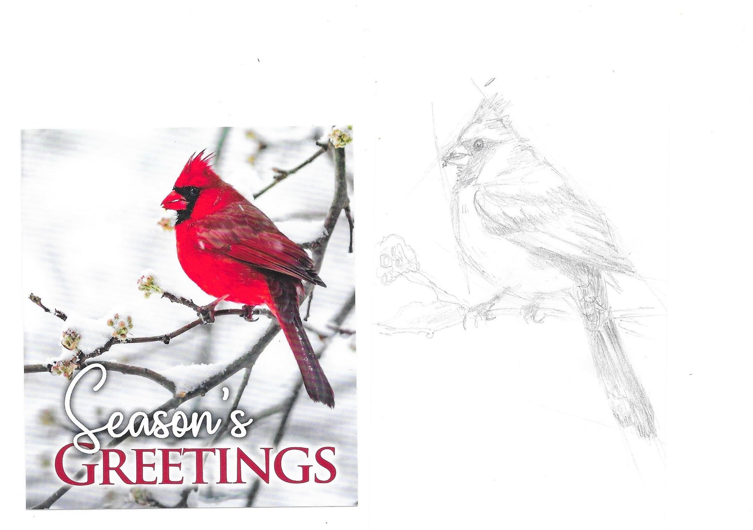 Drawing for Beginners with Mimi Chao - image 9 - student project