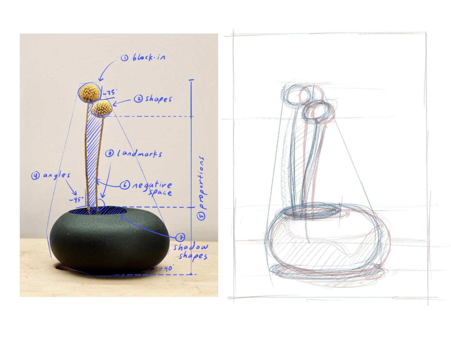 Drawing for Beginners with Mimi Chao - image 8 - student project