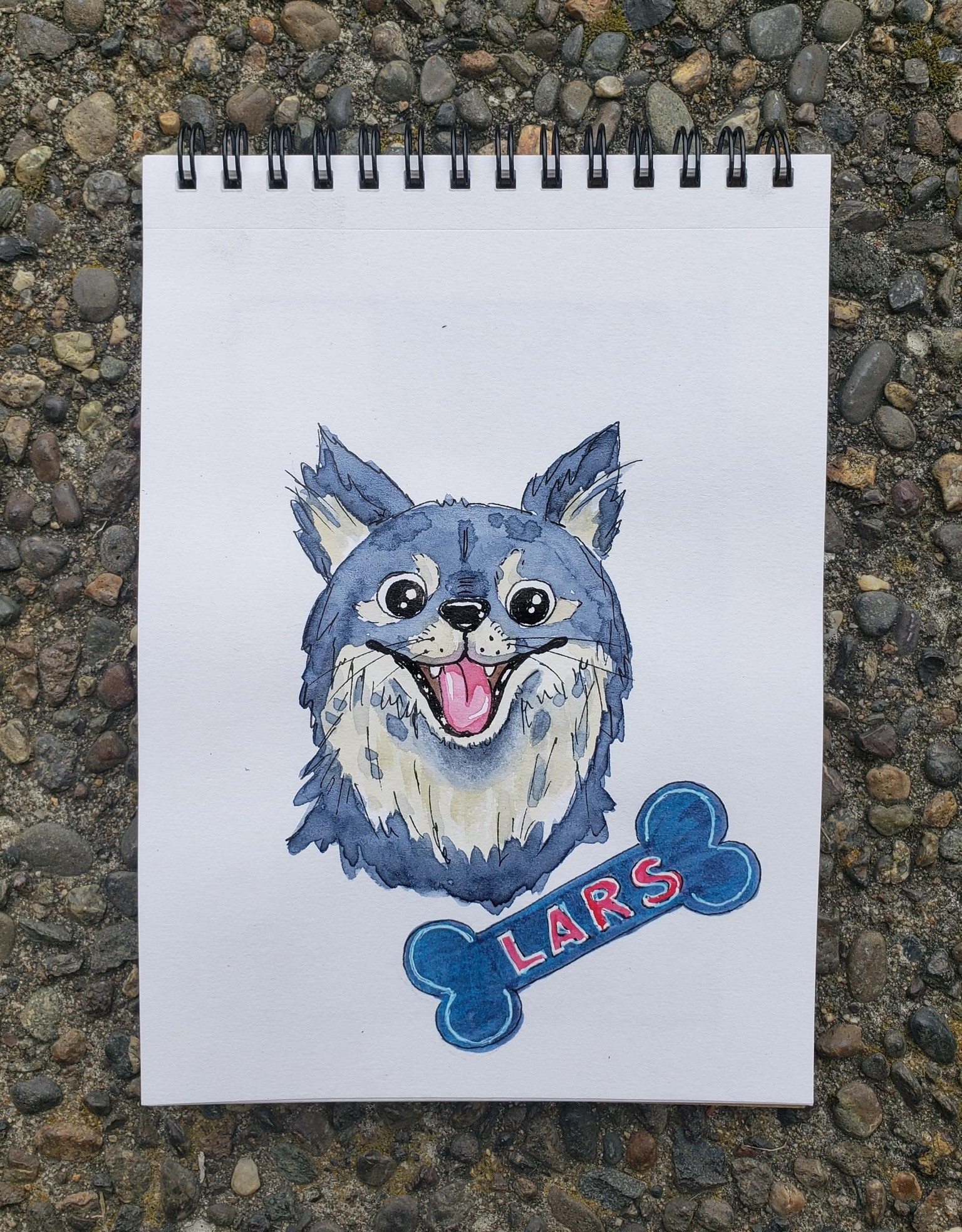 Cartoon Dog Pet Portrait - image 6 - student project