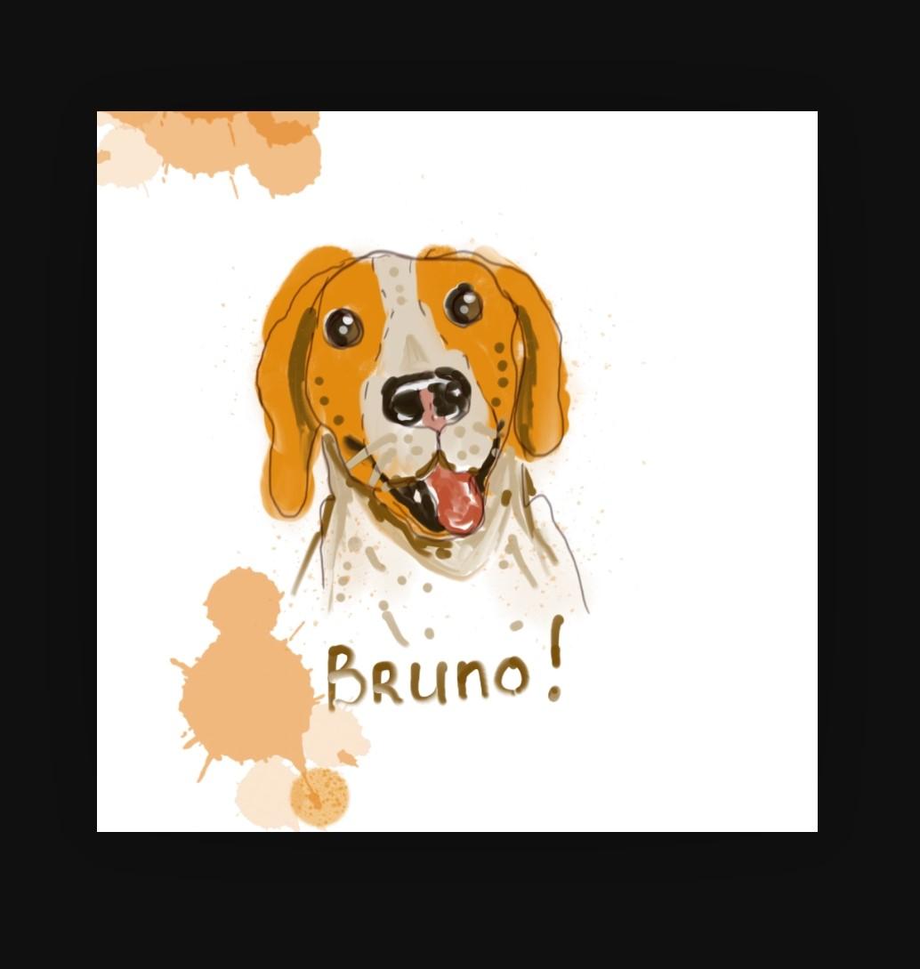 Cartoon Dog Pet Portrait - image 9 - student project