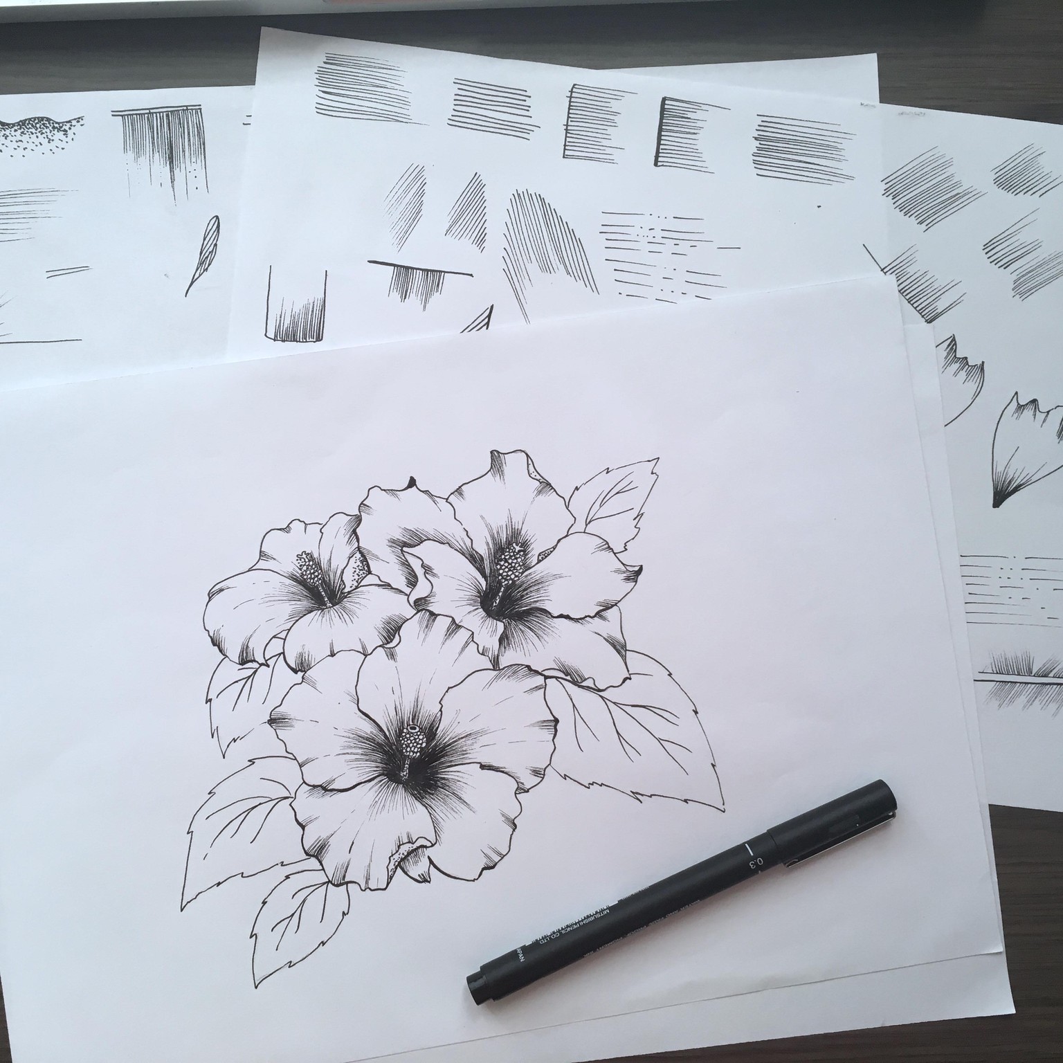 Hibiscus flowers - image 1 - student project