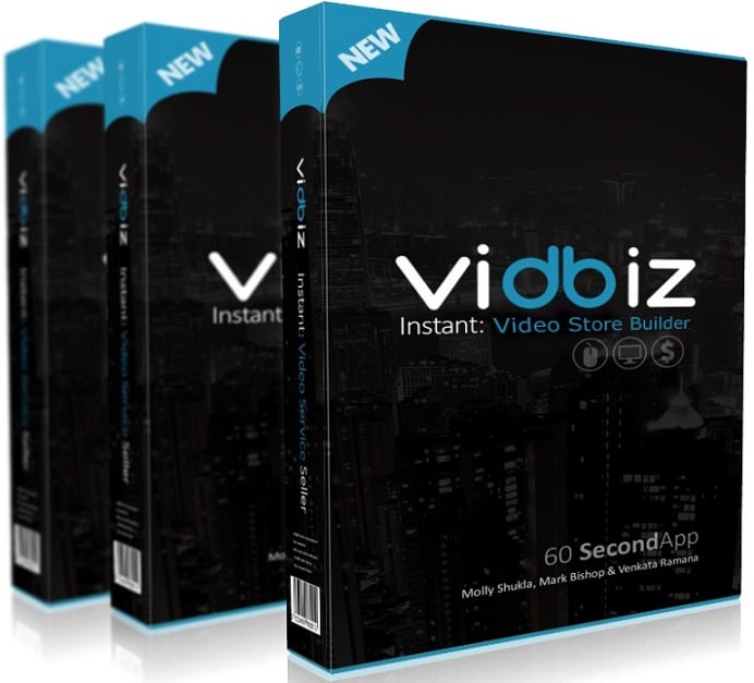 VidBiz Review – Highly Recommended - Dont Miss It - image 1 - student project