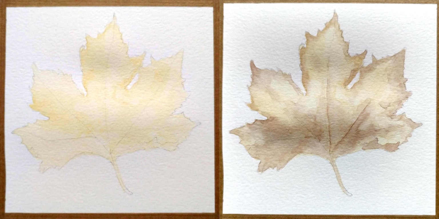 Maple leaf - image 1 - student project