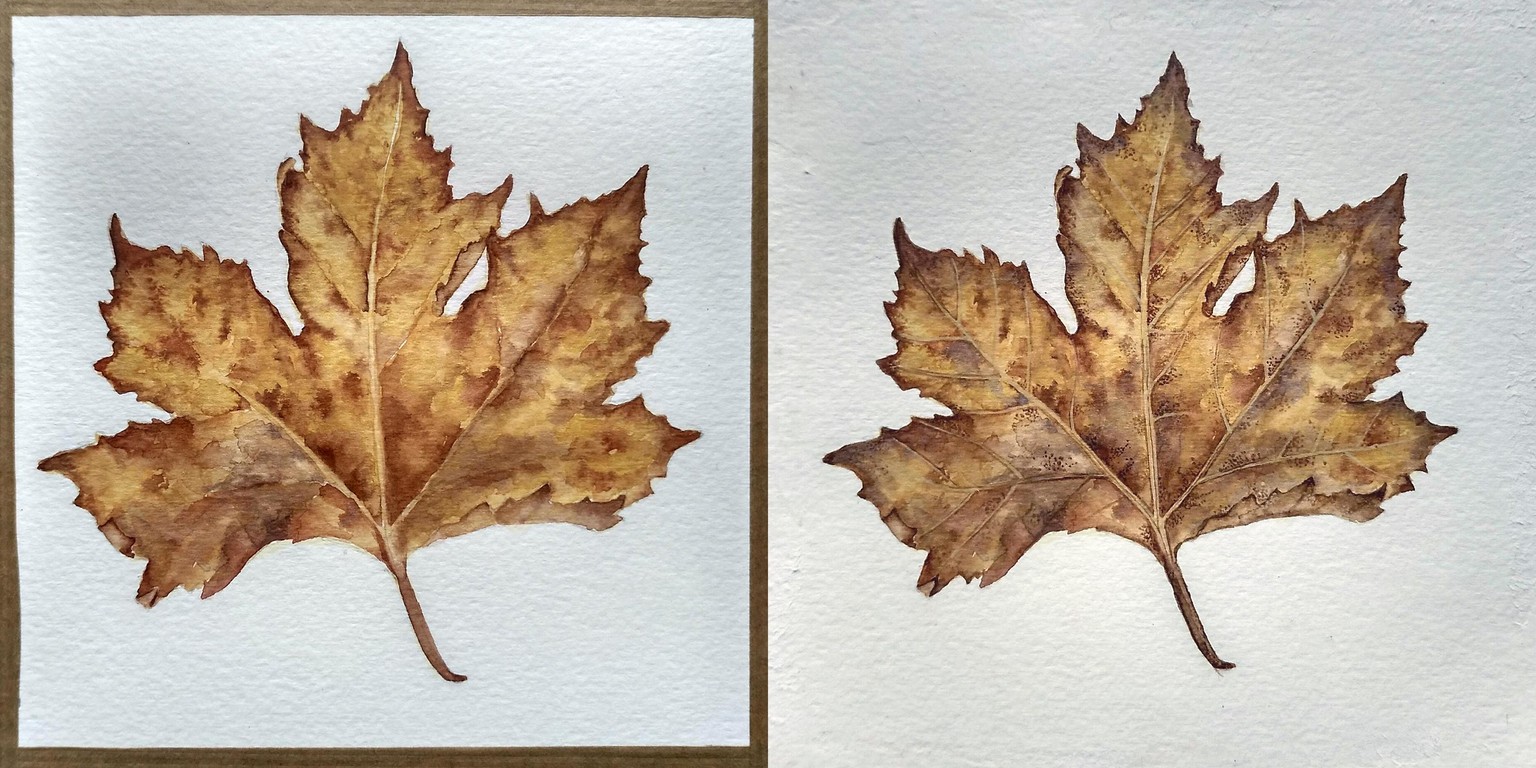 Maple leaf - image 2 - student project