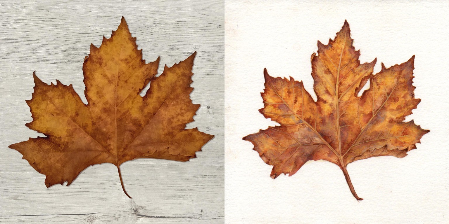 Maple leaf - image 4 - student project