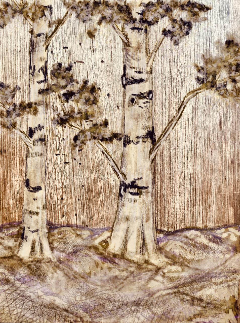 By Devon M - image 1 - student project