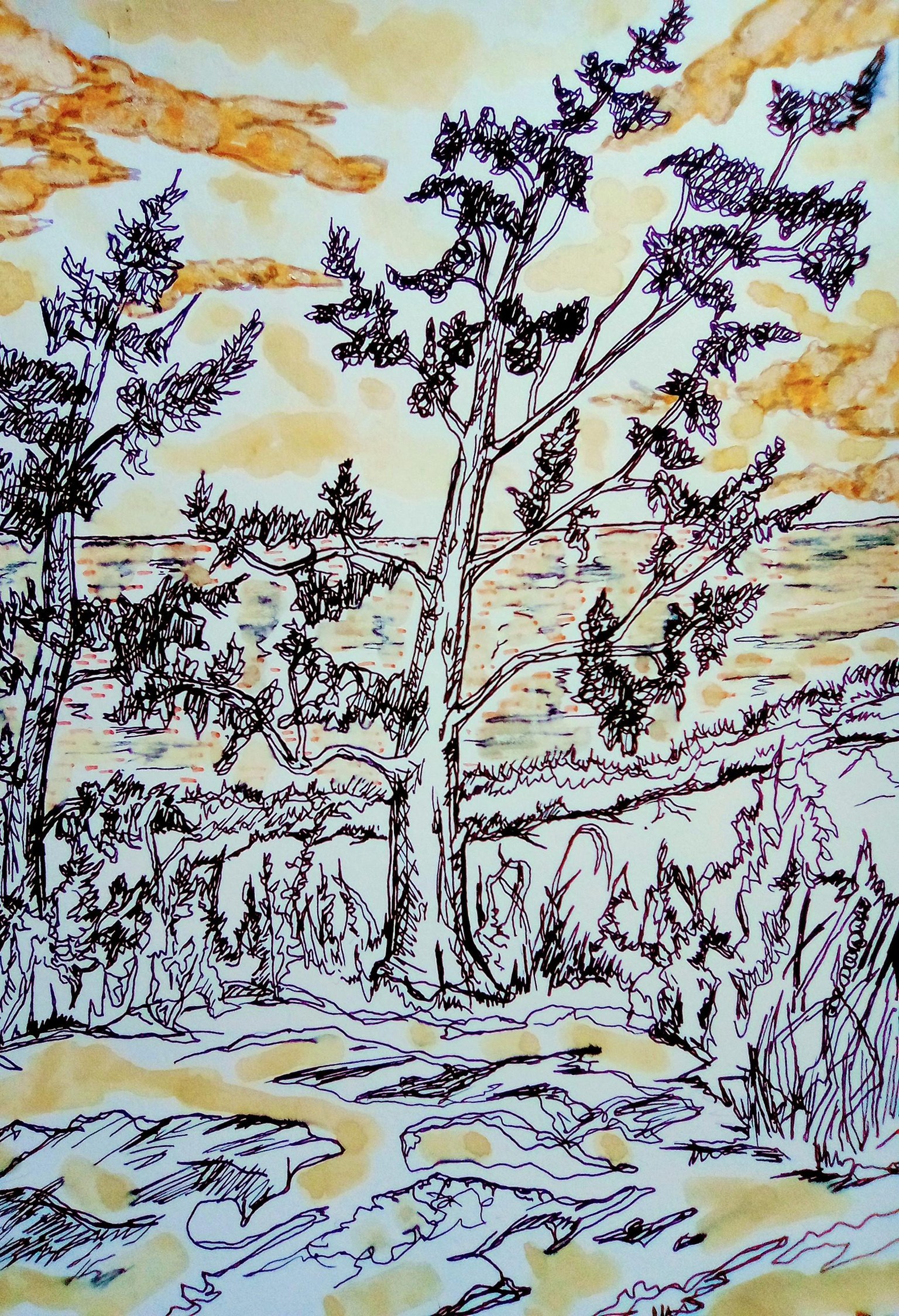 Study - image 1 - student project