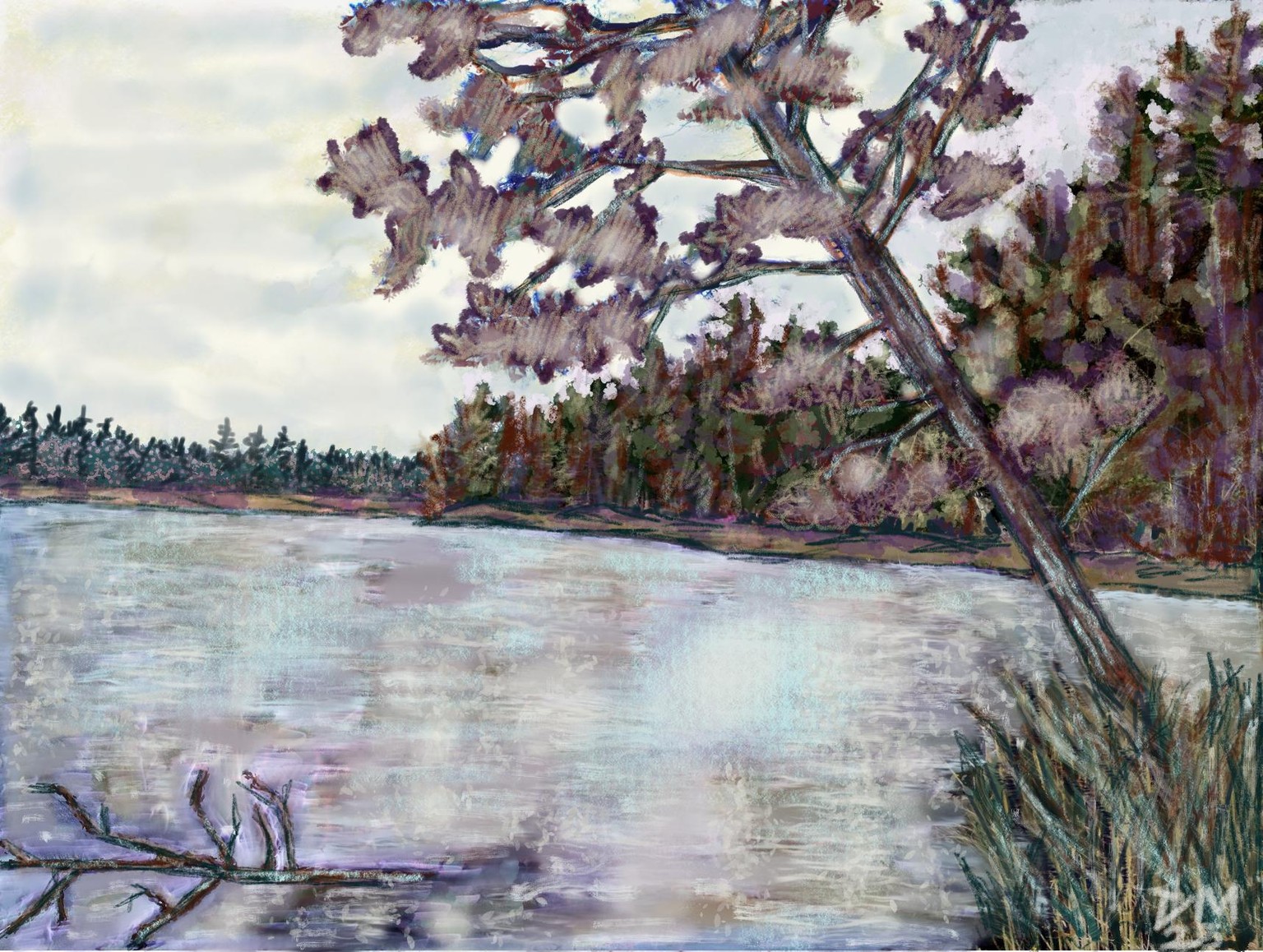 Inverhuron Provincial Park  & Pinery Provincial Park by Devon M. - image 1 - student project