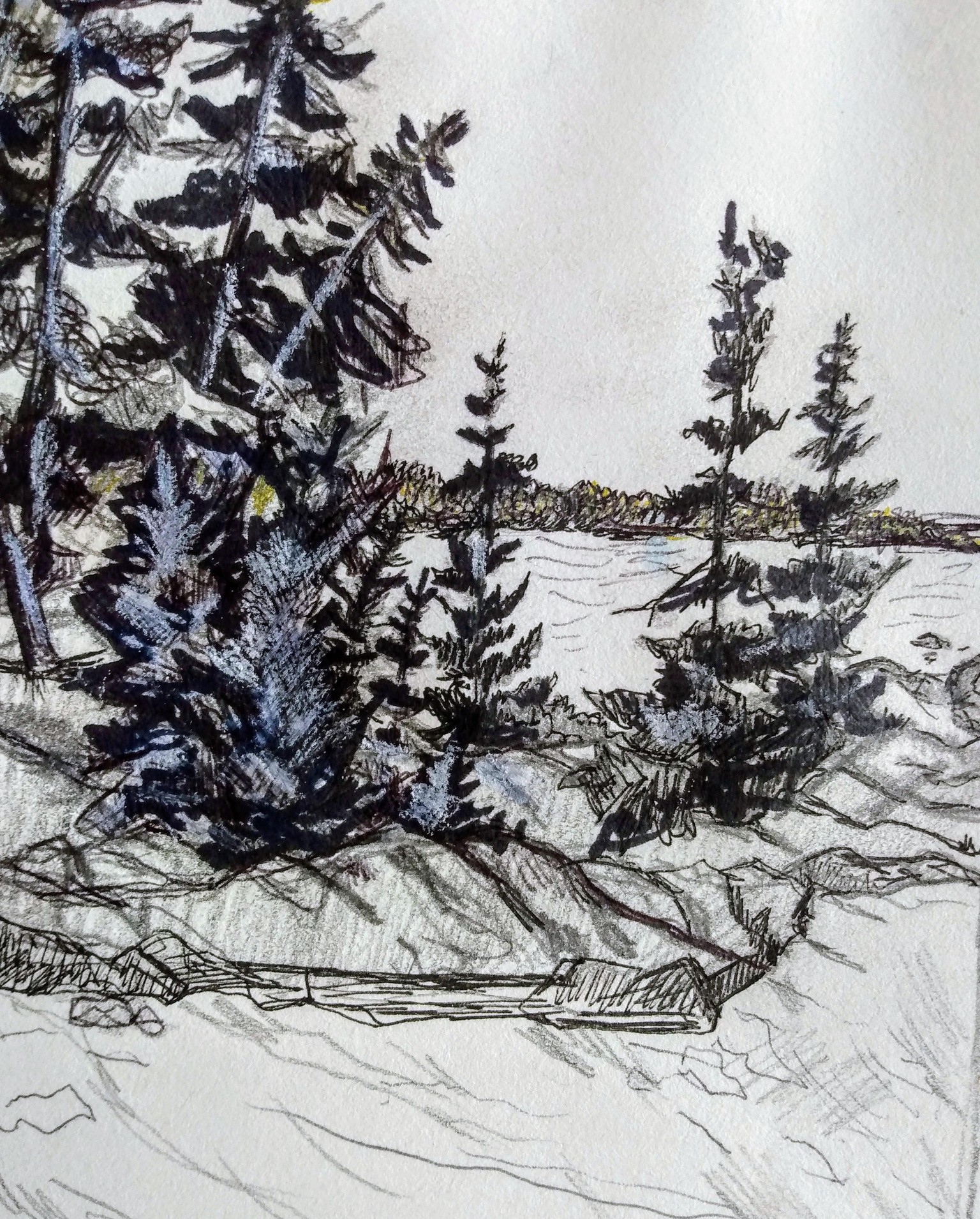 Komoka Provincial Park (study) - image 4 - student project