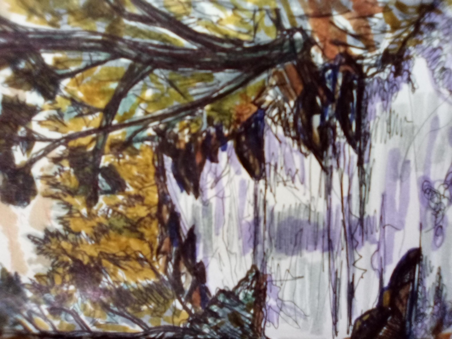 Point Farms Provincial Park - image 2 - student project