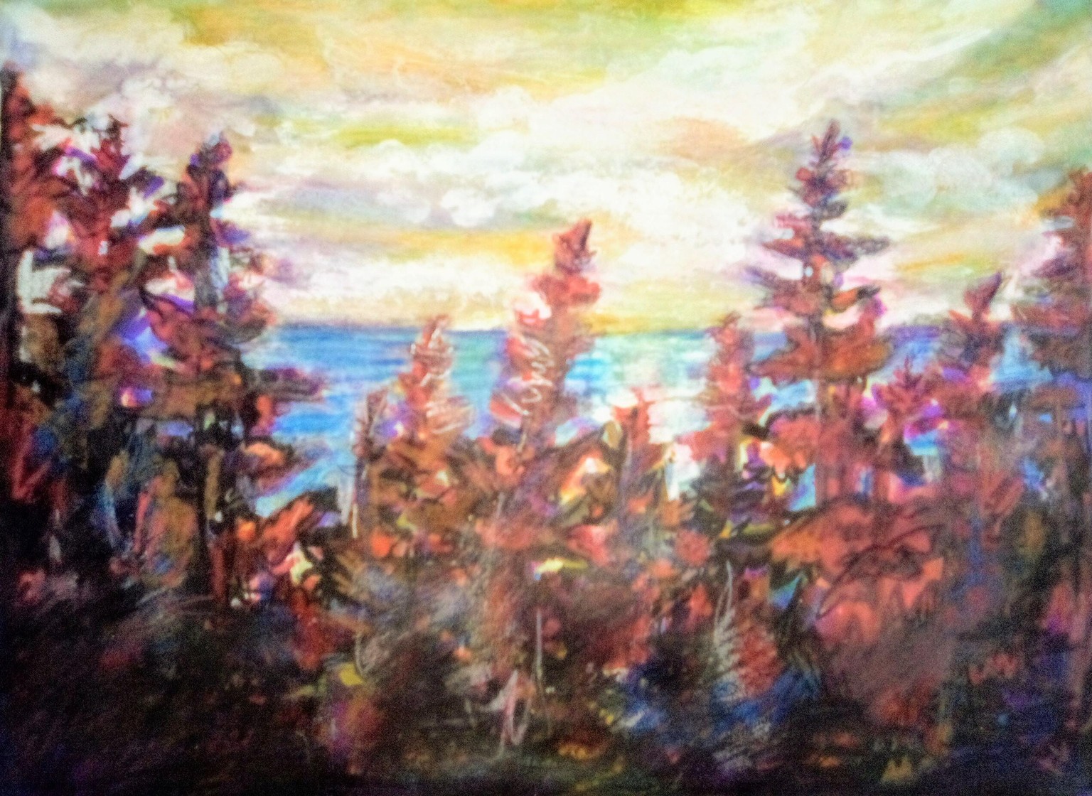 Point Farms Provincial Park - image 9 - student project