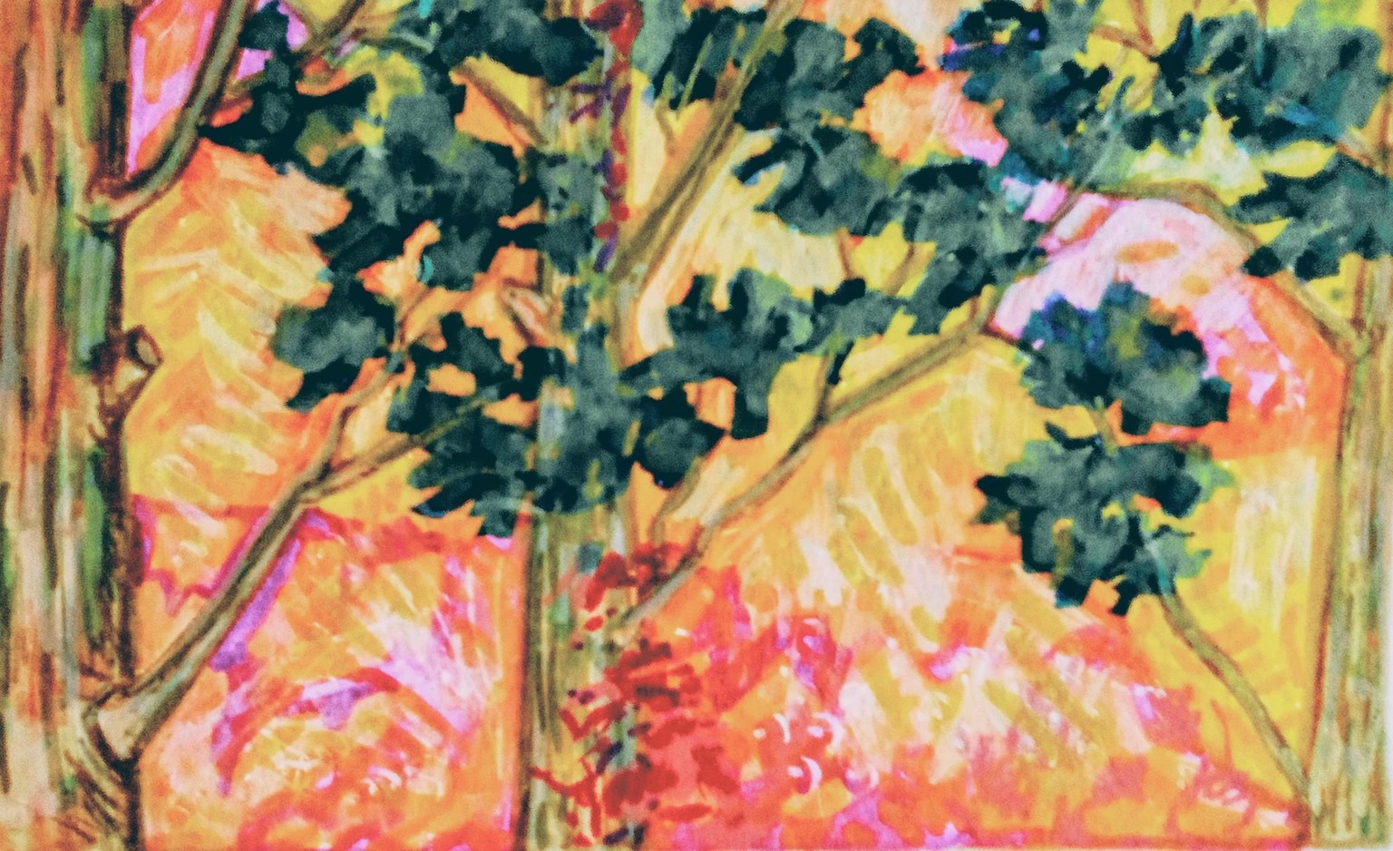 Blue Mountains, Collingwood area - image 2 - student project