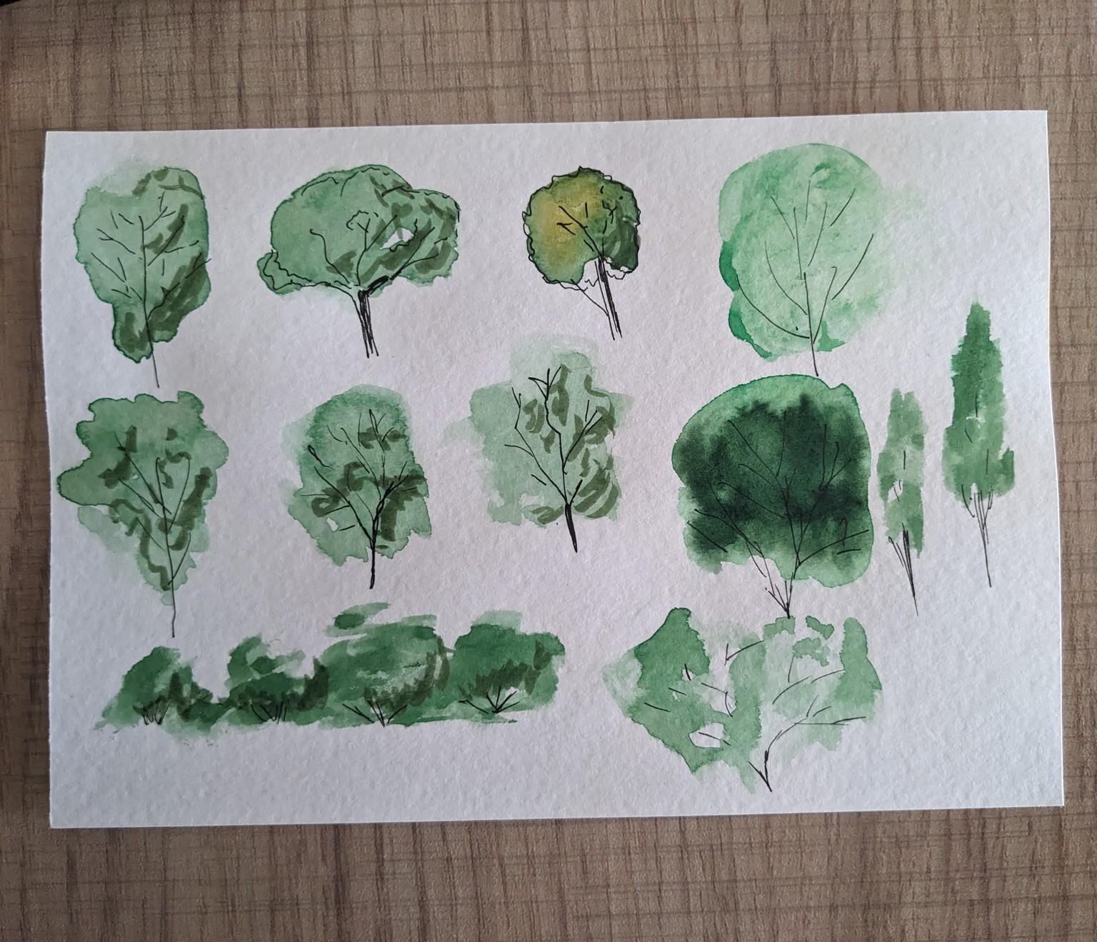 Watercolor trees - image 1 - student project