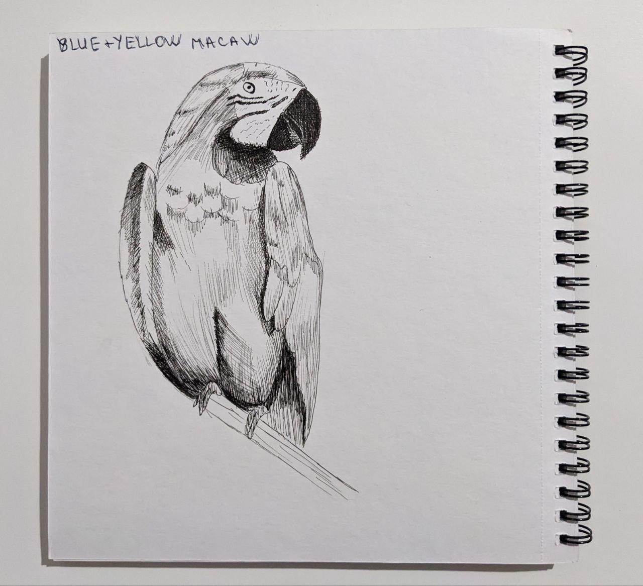 learning to paint with pens - image 4 - student project