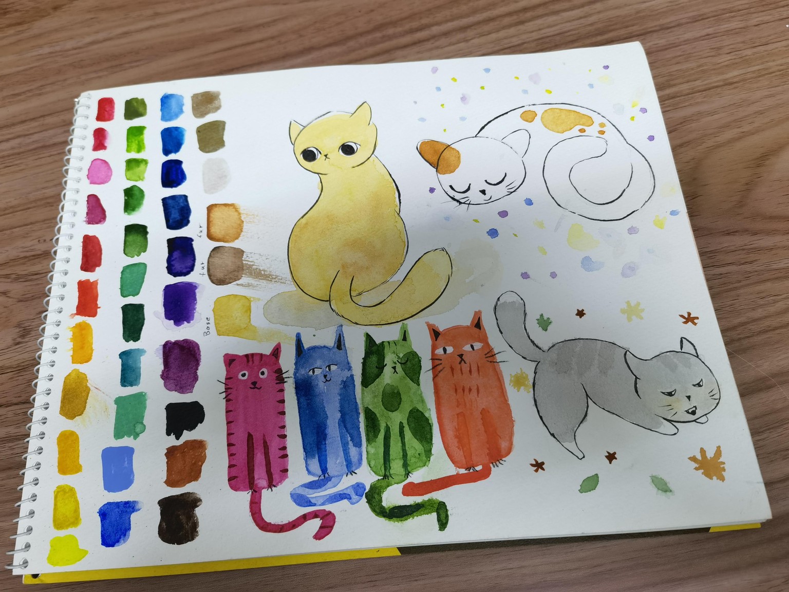 Kitty‍ - image 1 - student project