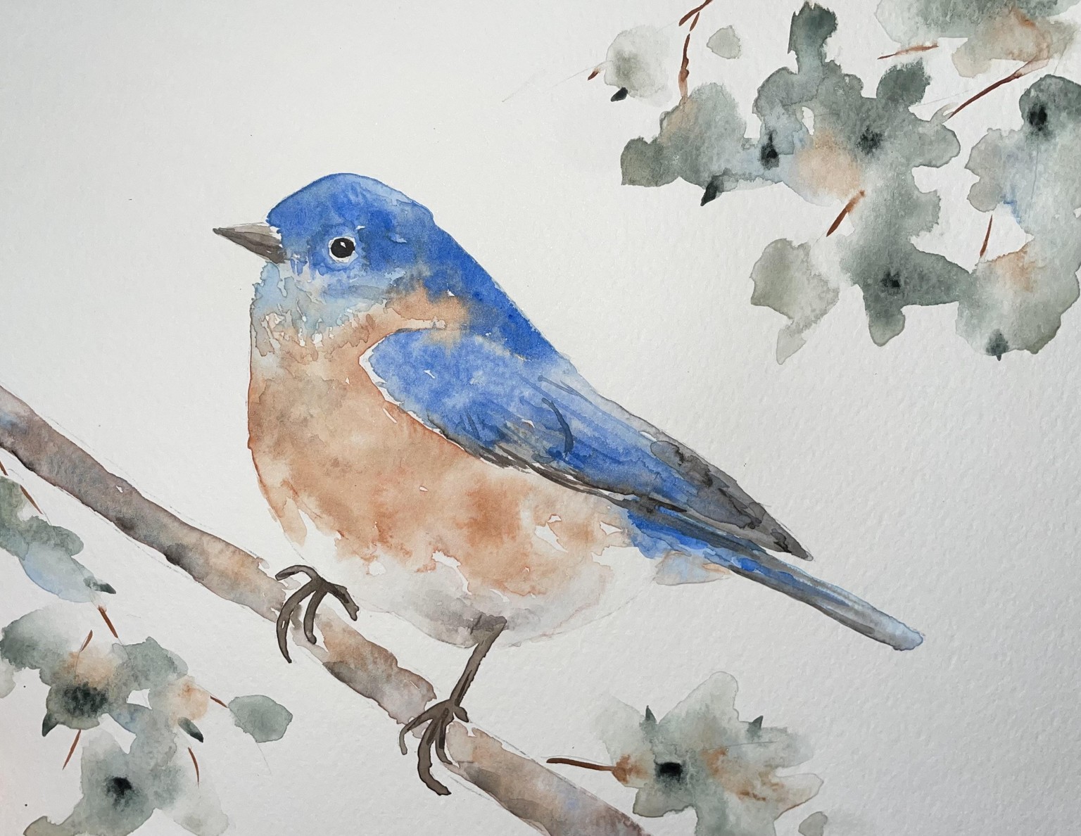 Chickadee - image 2 - student project