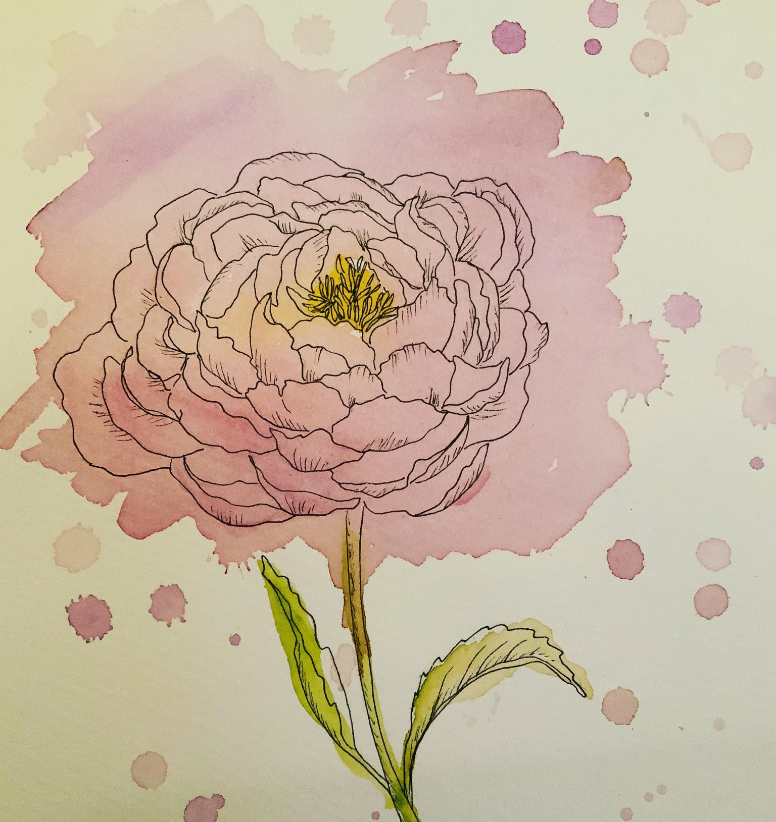 Peony - image 1 - student project