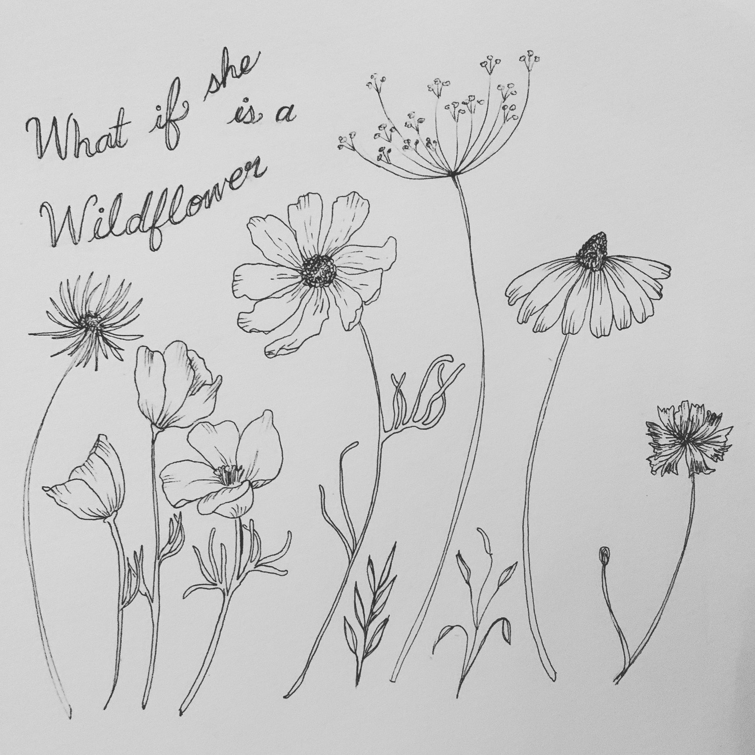 Wildflowers - image 1 - student project