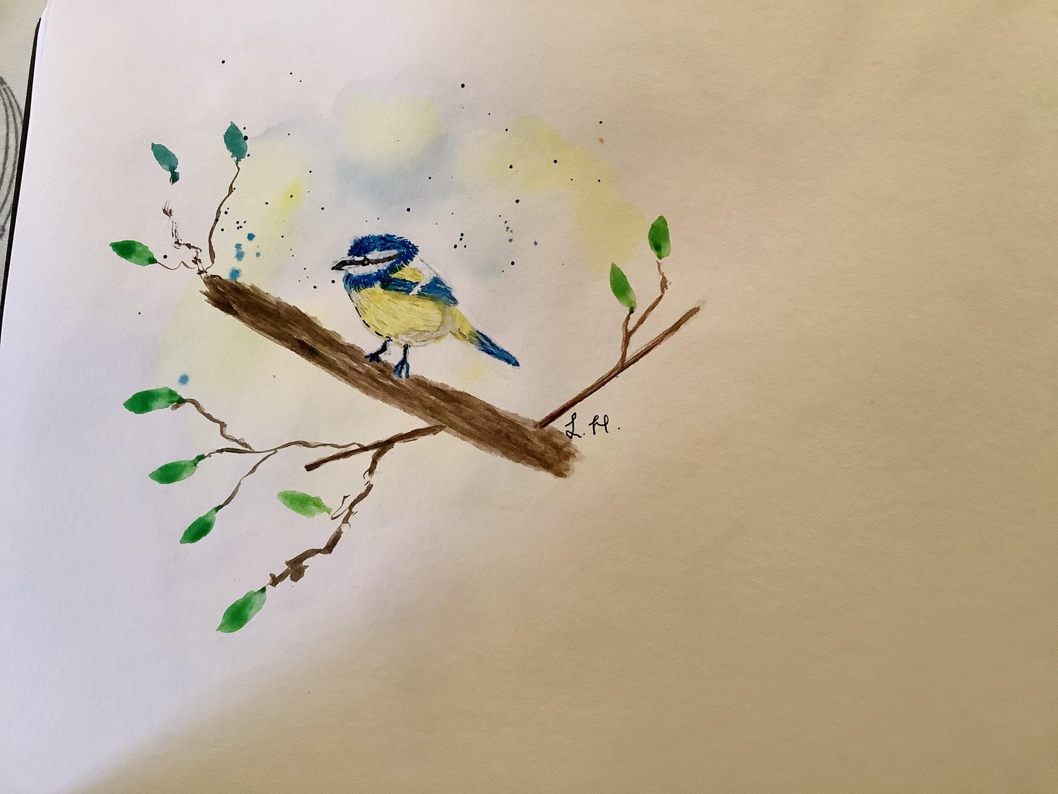 Bluetit kerry sanders - image 1 - student project