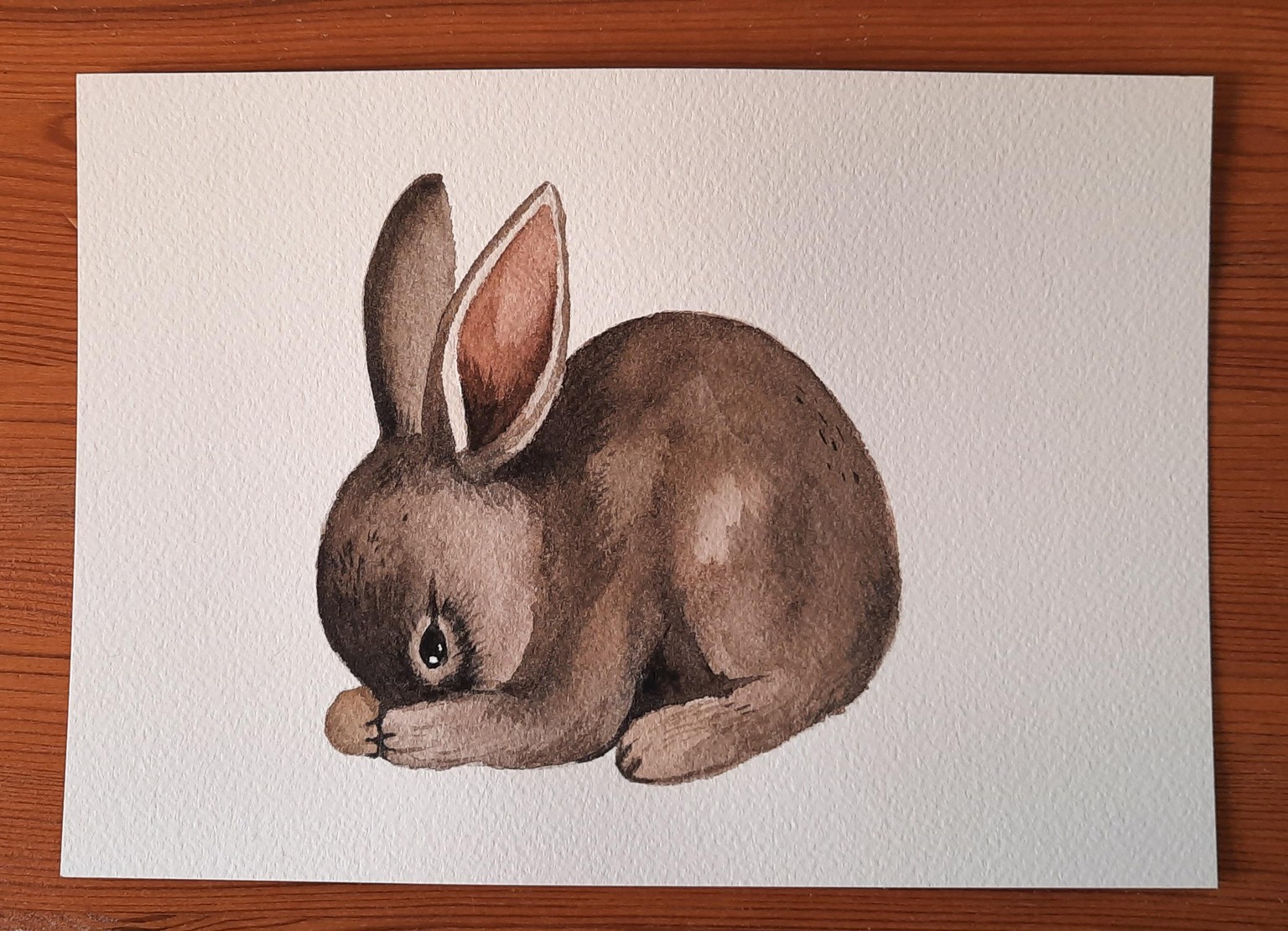 Bunnies - image 1 - student project