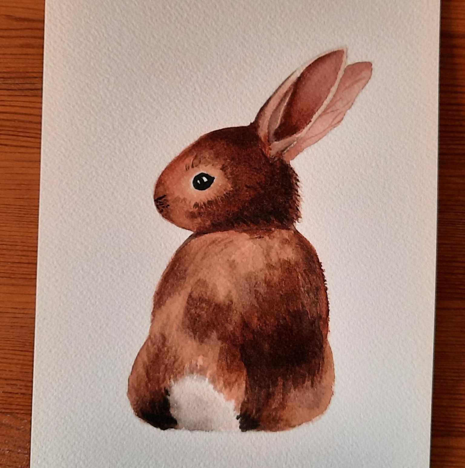 Bunnies - image 2 - student project