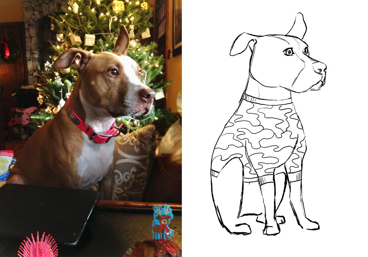 Lula in Camouflage - image 2 - student project