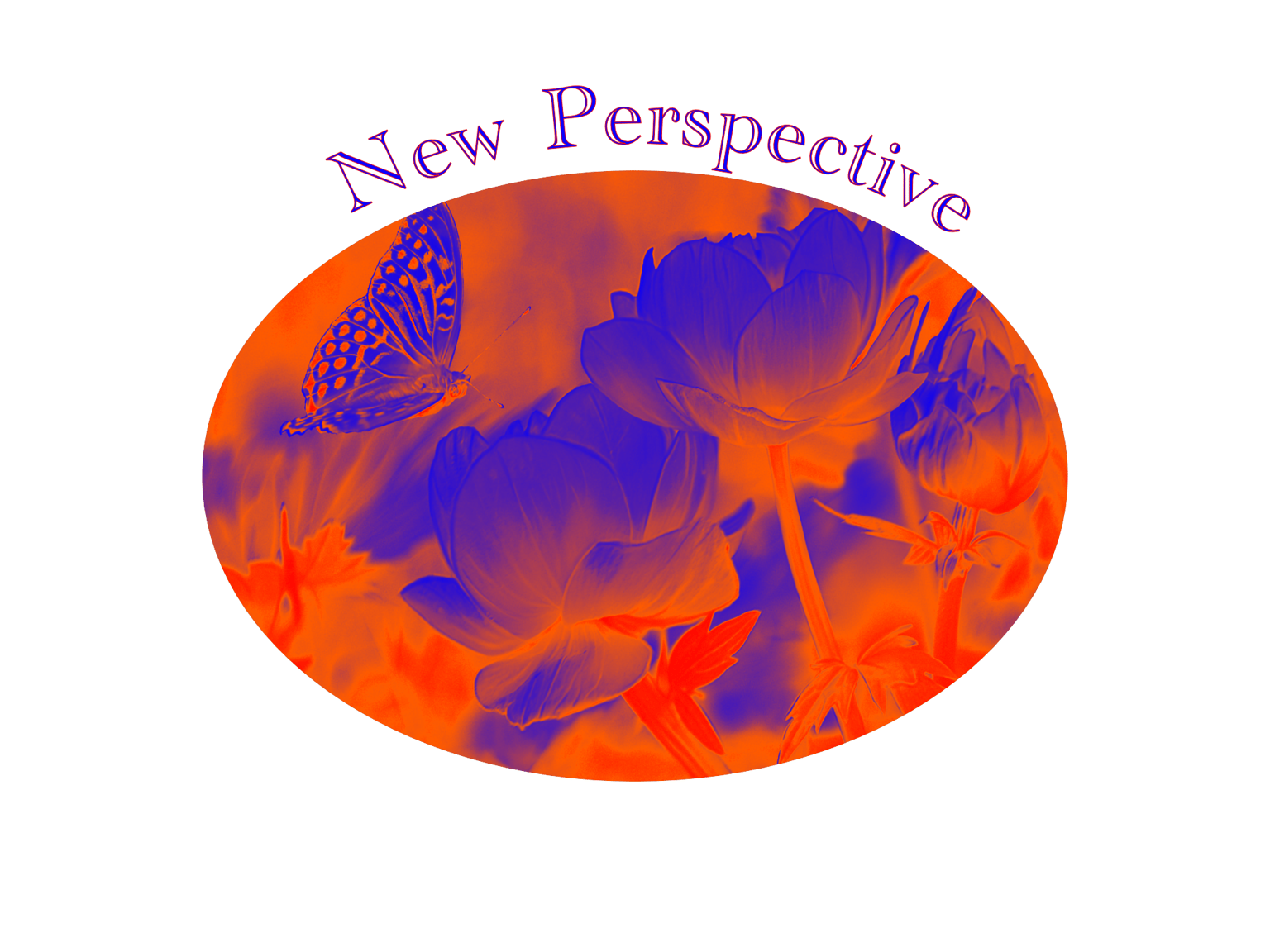 New Perspective - image 1 - student project