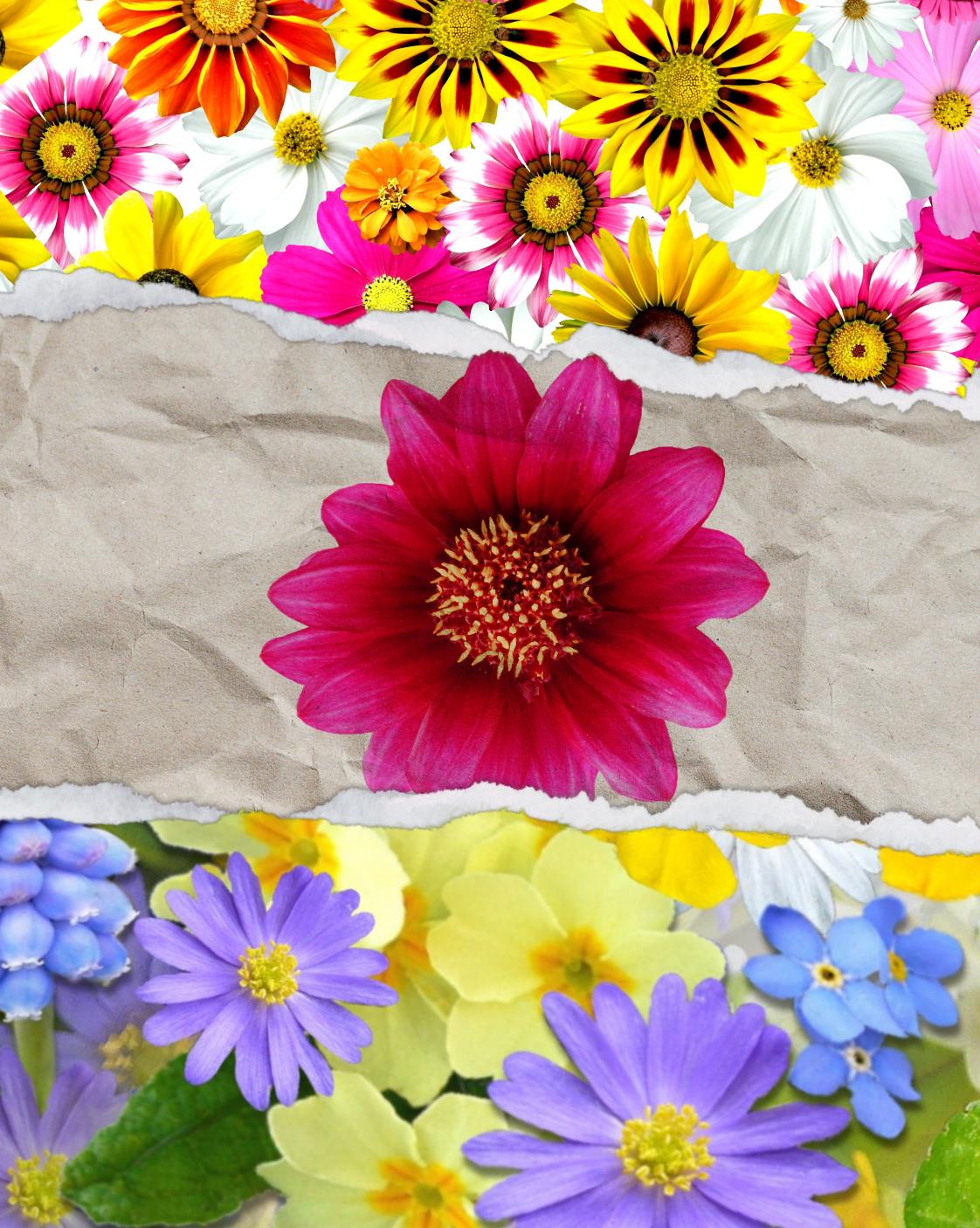 Torn Paper Floral - image 1 - student project