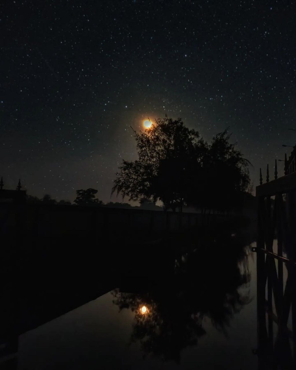MY CAPTURES - image 2 - student project