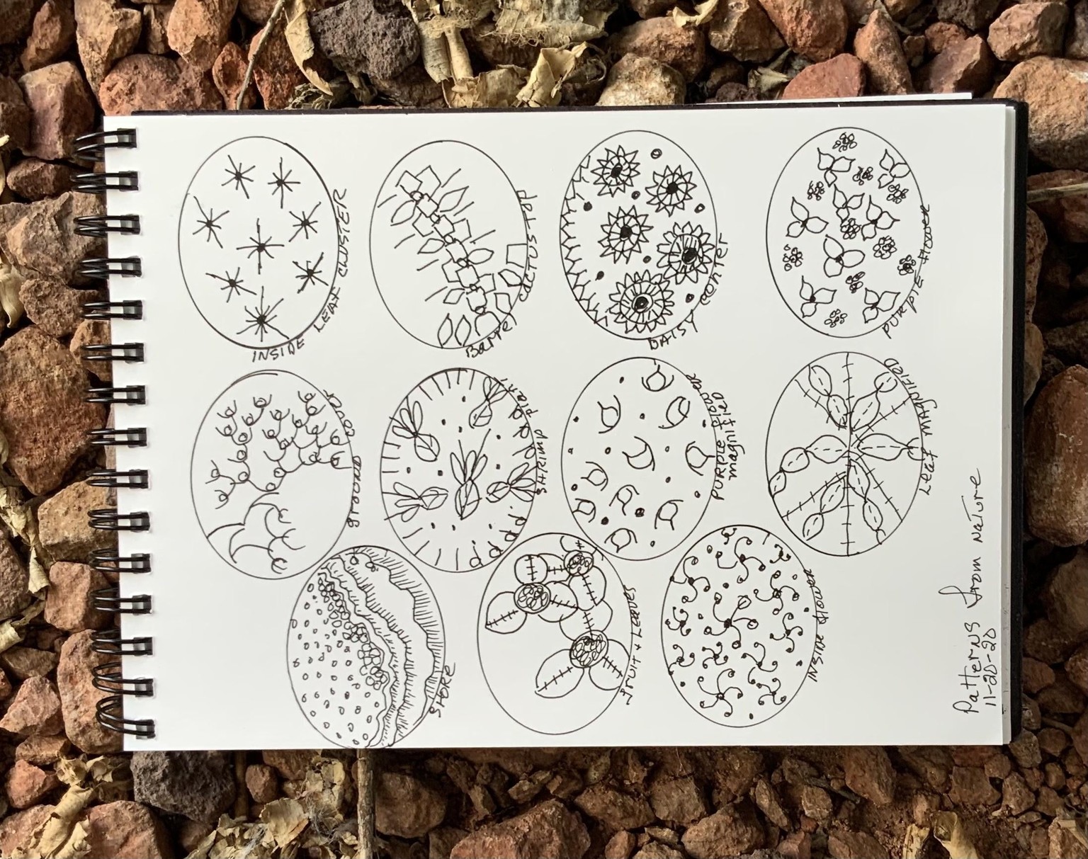 Nature Inspired Patterns - image 1 - student project