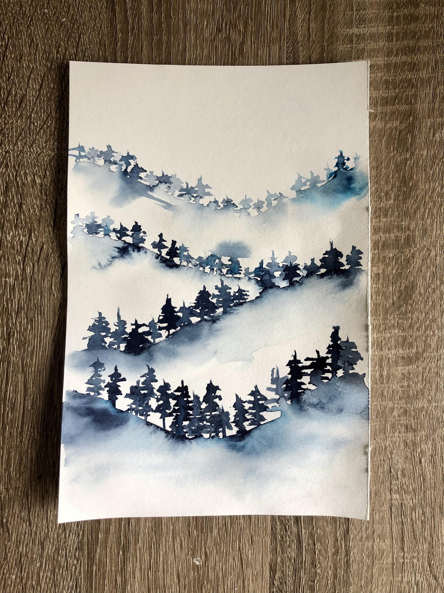 Misty Forests - image 1 - student project